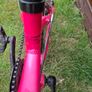 Girl's Ridgeback Bike Image 3