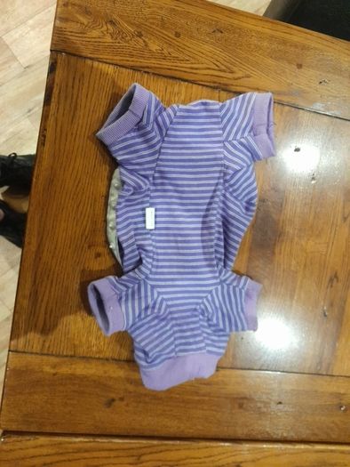 Cat recovery suit
