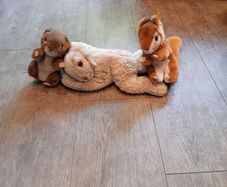 Steiff bundle