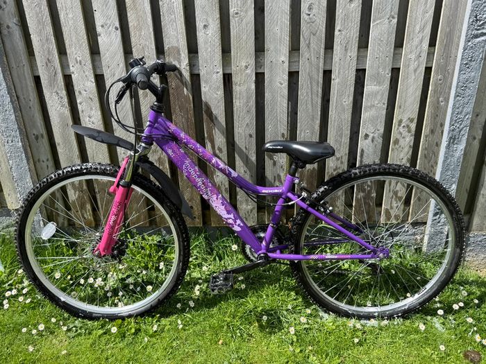 Apollo Independence 26 Inch Bike