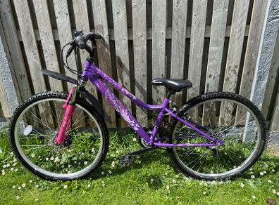 Apollo Independence 26 Inch Bike