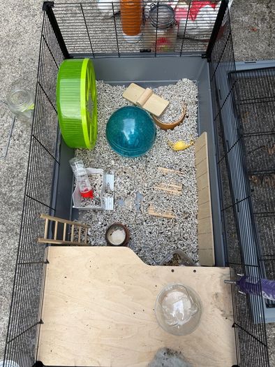 Large Animal Cage & Accessories