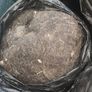 Job lot of vintage horsehair and natural upholstery stuffing weighing approximately 35KG Image 3