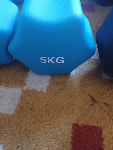 weights dumbells