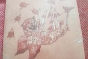 James Yorkston -The Year of the Leopard 10"