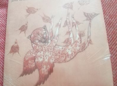 James Yorkston -The Year of the Leopard 10"