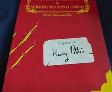 1st edition; Fantastic Beasts and where to find them (316)