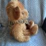 teddy bear Image 2