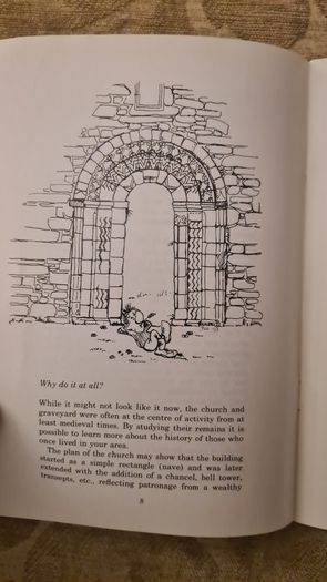 Recording The Past From Ancient Church Yards And Other Sources. The Dublin Archaeological Society. 37.