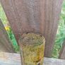 Pencil Fence Posts 5ft 75mm Image 3