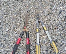 garden sheers