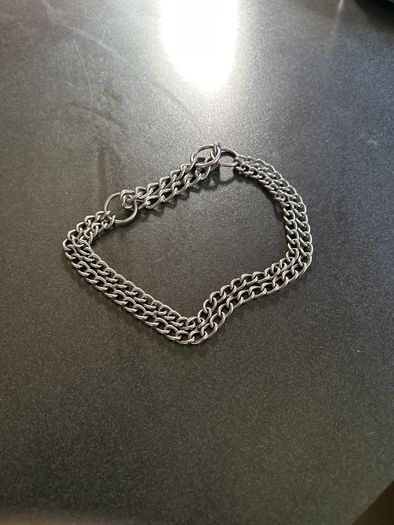 XL Steel Dog Collar