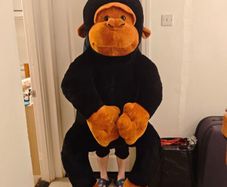 Huge Gorrila Soft Toy