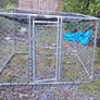 dog run Image 2