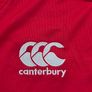 Lions Rugby 2021 Men's Jersey Size 2XL Image 3