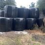 Baled silage Image 2