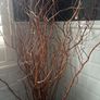 Rattan basket and willow stems Image 6