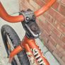 classic vintage stolen casino bmx Image 3