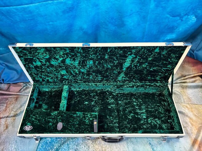 Boston California electric guitar case.