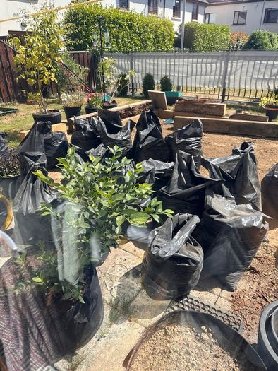 Free to go top soil- collection only