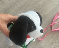 Battery operated dog