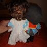 Dolls in Russian Costumes x 2 for Sale Image 5