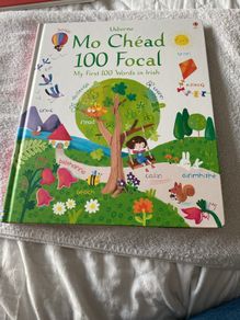 Irish language children's book