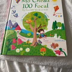 Irish language children's book