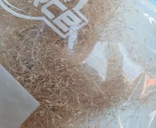 Fresh Ponytail ornamental grass seed