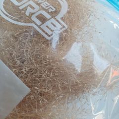 Fresh Ponytail ornamental grass seed