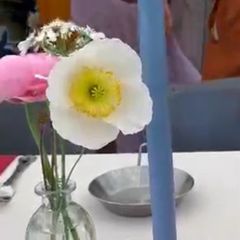 catering /wedding