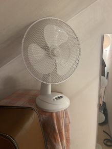 fan