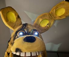Five Nights at Freddies costume