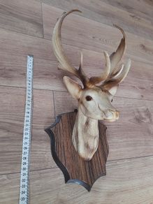 Deer head 1