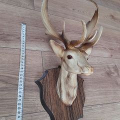 Deer head 1