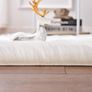 Super Soft Fluffy Faux Sheepskin Rug, Shaggy Silky Plush Carpet For Bedrooms Rugs Living Room Kids Rooms Decor Bedside Rugs (27.5 x 53.1 inch, White) Image 3