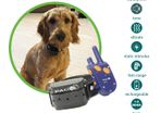 Medium/Large Dog Training System (1km Range) | PACDOG