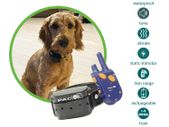 Medium/Large Dog Training System (1km Range) | PACDOG