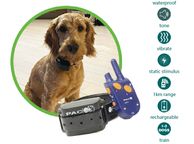 main image for ad Medium/Large Dog Training System (1km Range) | PACDOG