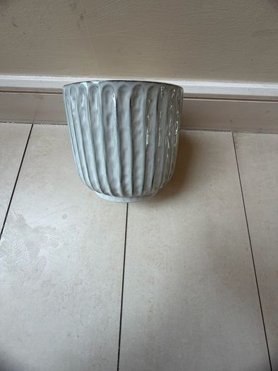 plant pot big