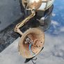 Light fitting - Ceiling Image 2