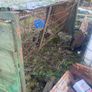 Sheep feeders Image 3