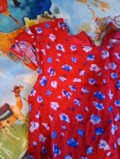 pumpkin patch red and blue dress