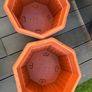 Plant Pots and Saucers Bundle Image 7