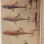 Fishing book Image 2