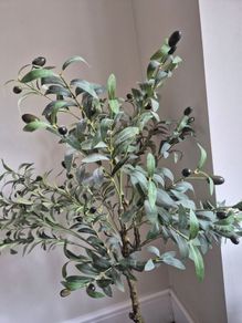 Faux Olive tre