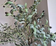 Faux Olive tre