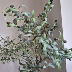 Faux Olive tre