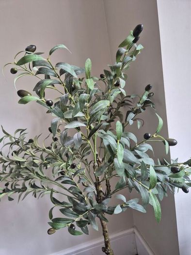 Faux Olive tre
