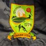 Kerry LGFA GAA O'Neills Gaelic Football Pullover Jersey (Youths 13 Years) FREE POST Image 3